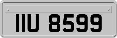IIU8599