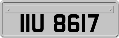 IIU8617