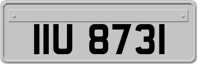 IIU8731