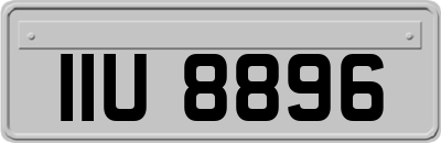 IIU8896
