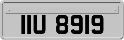IIU8919