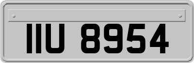 IIU8954