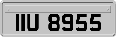 IIU8955