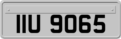 IIU9065