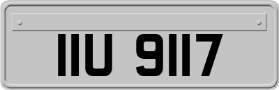 IIU9117