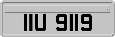 IIU9119