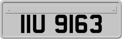 IIU9163