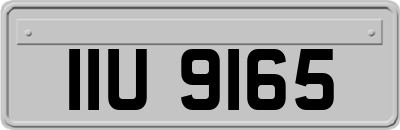 IIU9165