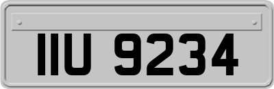 IIU9234