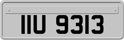 IIU9313