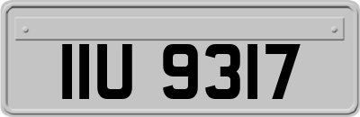 IIU9317
