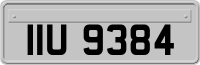 IIU9384