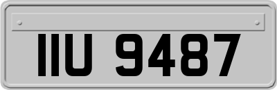 IIU9487