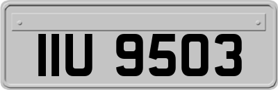 IIU9503