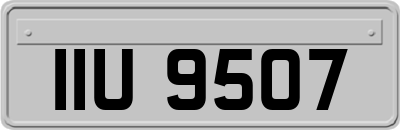 IIU9507