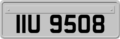 IIU9508