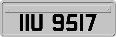 IIU9517