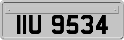 IIU9534