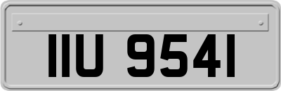 IIU9541