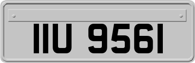 IIU9561