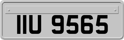 IIU9565