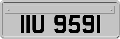 IIU9591