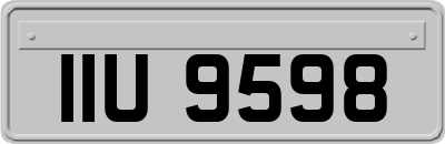 IIU9598