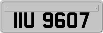 IIU9607