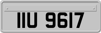 IIU9617