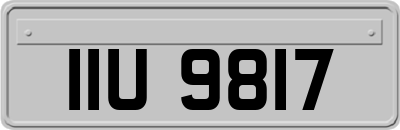 IIU9817