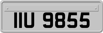 IIU9855
