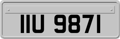 IIU9871