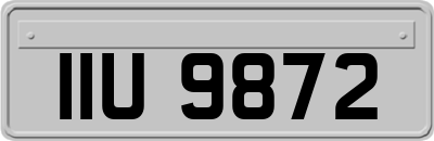 IIU9872