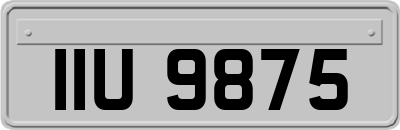 IIU9875
