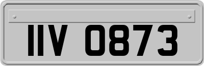 IIV0873