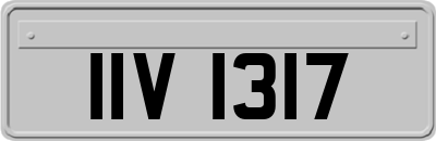 IIV1317