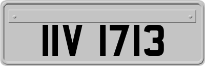 IIV1713