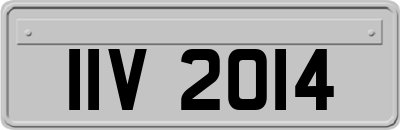 IIV2014