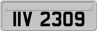 IIV2309