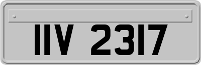 IIV2317