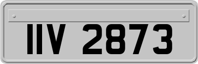 IIV2873
