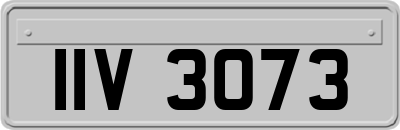IIV3073
