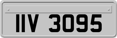 IIV3095