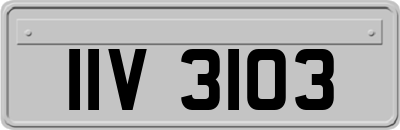IIV3103