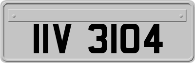 IIV3104