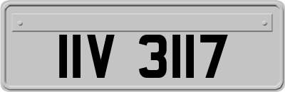 IIV3117