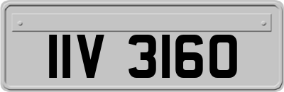 IIV3160