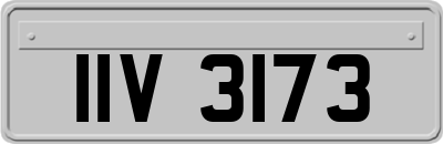 IIV3173