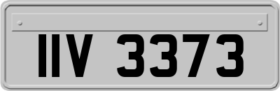 IIV3373