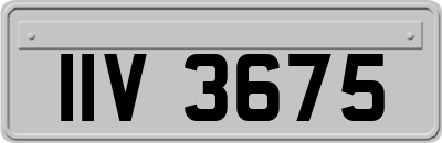 IIV3675